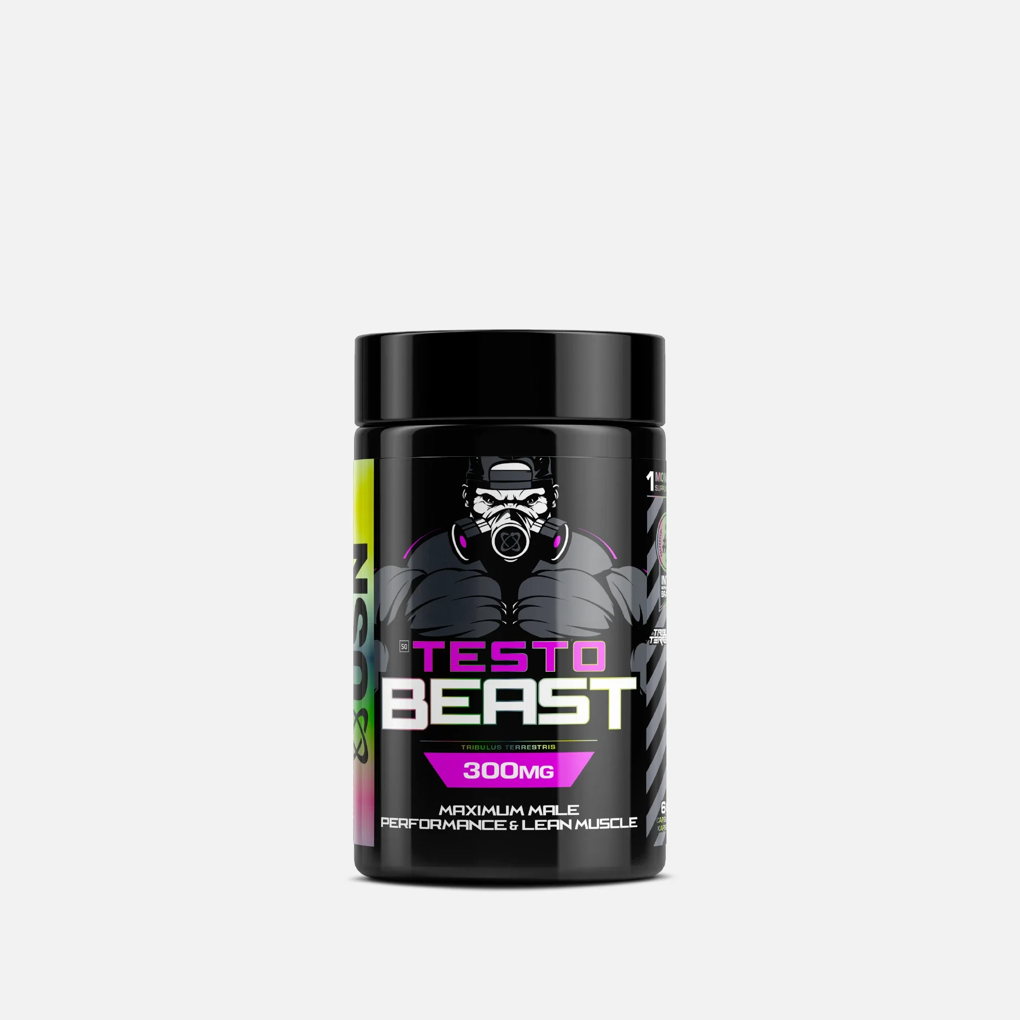 Beast Testo